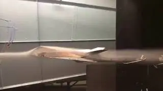 F117 Wind Tunnel Smoke Visualization