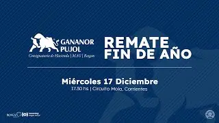 Remate Fin de A&ntilde;o - Gananor Pujol