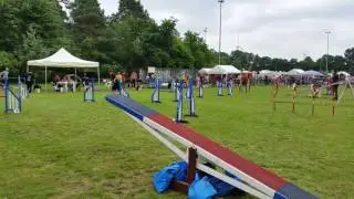 NOYTCB Mr Freeze - Kai - Open agility Lihos
