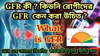 What is GFR || GFR কী || কিডনি রোগীরা GFR কেন করবেন ||
