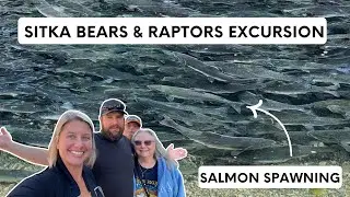Sitka, AK - Our FAVORITE Cruise Port! Salmon Spawning, Bears, Raptors, Totems, Salmonberries & more!