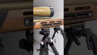 Vudoo 22lr three 60. With Woox Furiosa