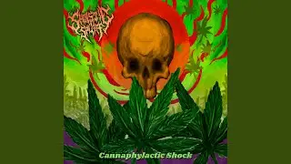 Cannaphylactic Shock