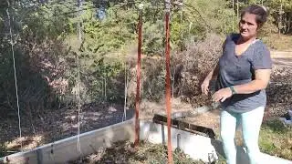 Taking down our summer garden bed