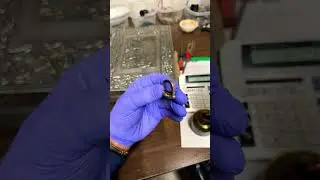 How to Test for REAL Silver with Schwerters Solution