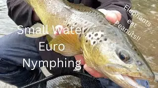 PA Euro Nymphing Small Stream Wild Browns (How I Fish)