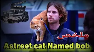 كان مشرّد… وقط واحد بدّل حياتو كاملة! 😲 قصة حقيقية | ملخص فيلم A Street Cat Named Bob»