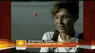 Sara Palin quits