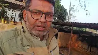 श्री गौसेवा Cattle Feed बैतूल 7089326722