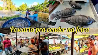 vendendo os peixes da nossa criação na feira livre