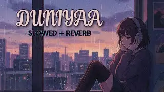 Duniyaa (Slowed + Reverb) Mix Level Music | Bollywood Songs | Hindi song | New song | NCS |Lofi 