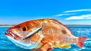 HOW TO FISH FOR SNAPPERS WITH JIGS ON THE BOTTOM.