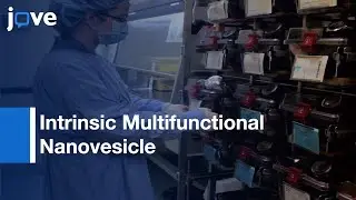 A Minute, Sub-One-Watt Photothermal Tumor Ablation: Multifunctional Nanovesicles l Protocol Preview