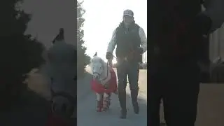 Pony in Red - Catwalk Part1