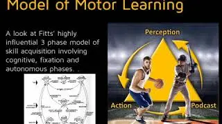 129 &ndash; The Legacy of Paul Fitts II: A Three Stage Model of Motor Learning