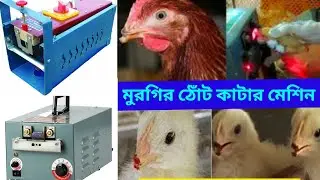 মুরগির ঠোঁট কাটার মেশিন।
