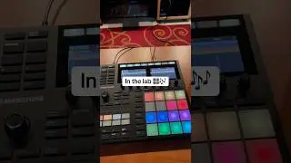 Maschine MK3 beats 🎶 #maschine #nativeinstruments