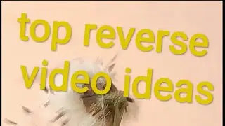 Top 10 reverse video ideas ||