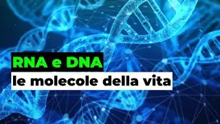RNA e DNA: le molecole della vita