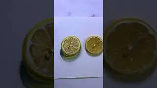 Lemon slice anyone? #shorts