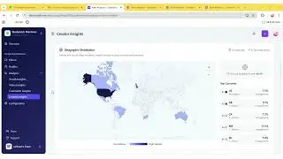 Creator insights