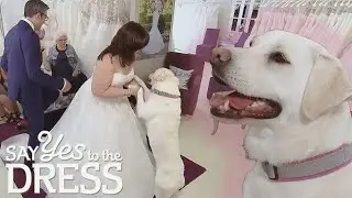 Will Oske The Dog Be Barking Yes To The Dress? | Say Yes To The Dress Benelux
