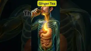 What Really Happens When You Drink Ginger Tea #herbalmedicine #healingherbs #holistichealth #ginger