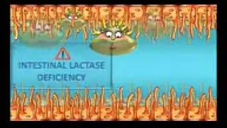 lactose intolerantie
