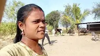 ९ जानेवारी, २०२६