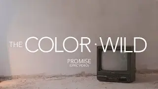 The Color Wild - Promise (Lyric Video)