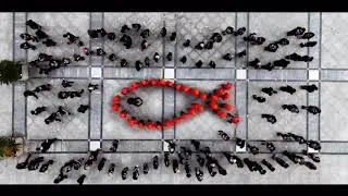 Eye-catching Activism Raises Awareness for Animal Rights! | NARD 14