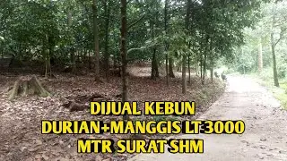 Dijual tanah kebun durian+manggis luas tanah 3000 MTR+surat SHM akses mobil lokasi Bogor Barat 