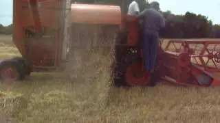 Wheatstock X All Crop Super 100 combining wheat 100_5009.mov
