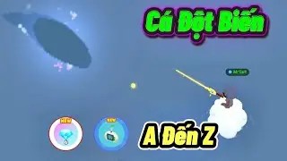 To&agrave;n Bộ Vấn Đề C&aacute; Đột Biến Play Together Từ A Đến Z