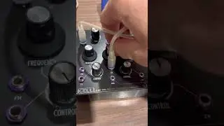 Rat King Modular Cell random sequencer tweak