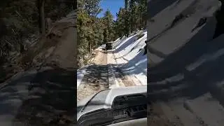 Recon up to Holcomb Valley through the snow.