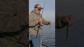 ЗАМЕДЛЕНИЕ позади вашего лодочника (совет ко-рыболова)