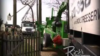 Kennett Square Tree Service PA