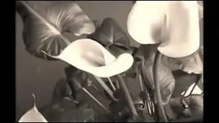 أروع خطبة للشيخ عدنان محمد