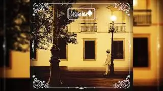 Casuarina - 