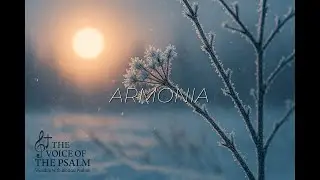 Instrumental para Meditar y Descansar
