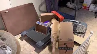 Rose box fort maze