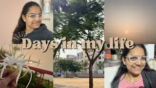 Days in my lifee!!!! | Exam season | study vlog 1 | thejhansirani | 
