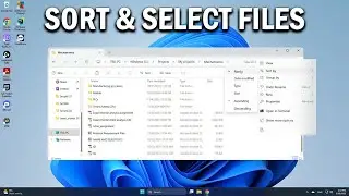 How To Sort and Select Files and Folders Windows 11 - Easy Fix