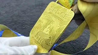 1390 - Hard Enamel Gold Metal Bear Pattern 3d Printed Medals