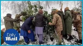 Deadly storm in Pakistan: At least 21 dead after snowstorm causes 125,000-car traffic jam