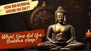 The Daily Routine of Buddha