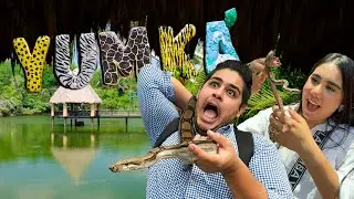 CUIDADO❗Esto nos pasó en el festival de las serpientes 🐍 I Visitamos el YUMKA 🦏