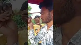 Thanda colddrink kurkure🤣-#funny #viral #comedyShot #shorts