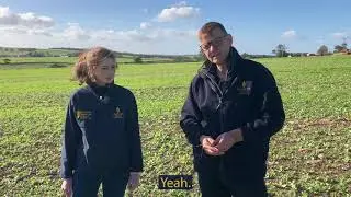 Cover Crop Trials 2023: Will Nutrient Fixing Reduce Cereal Crop Input Costs?